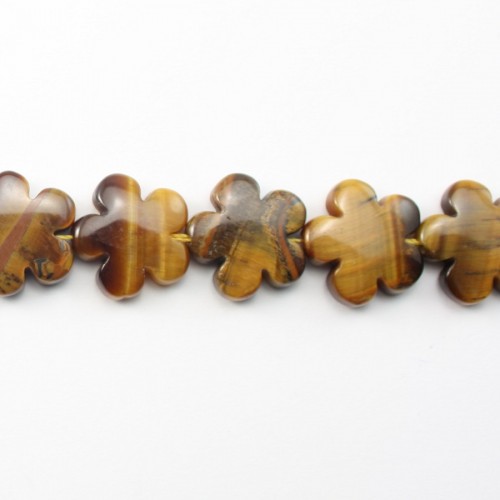 yellow eye tiger  flower  20mm  x 40cm 