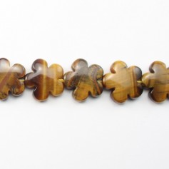 Oeil de tigre  en fleur 15mm 