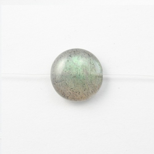 Labradorite Ronde Plate 6mm x 8pcs