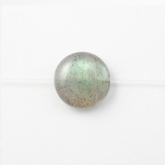 Labradorite Ronde Plate 6mm x 8pcs