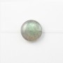 Labradorite Ronde Plate 6mm x 8pcs