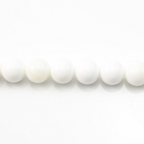 Bénitier Ronde 4mm x 20 pcs