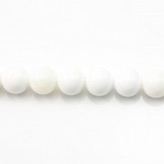 Bénitier Ronde 4mm x 20 st