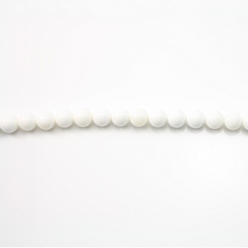 Clam Round 16mm x 2pcs