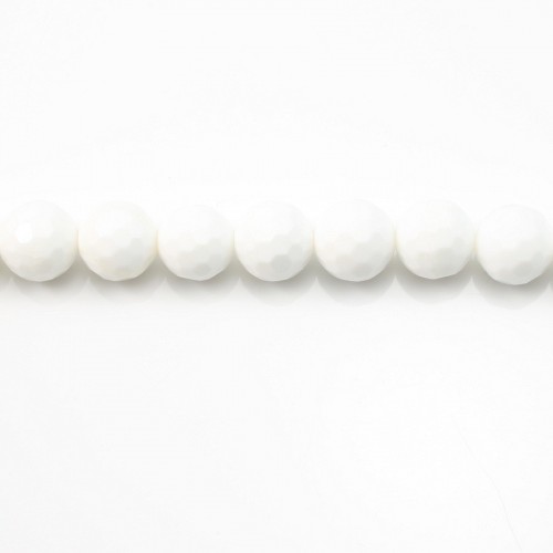 Clam Faceted Round 16mm x 2pcs