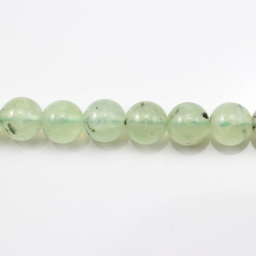 Prehnite Round  10mm x 40cm