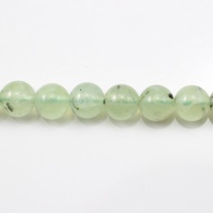 Prehnite Round  10mm x 40cm