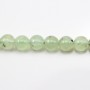 Prehnite Round  12mm x 40cm