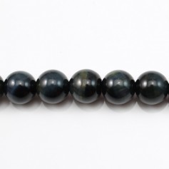 Oeil de faucon rond 16mm x 40cm