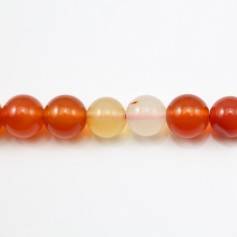 Cornelian Round 4mm x 40cm
