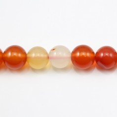 Cornaline Ronde 12mm x 40cm