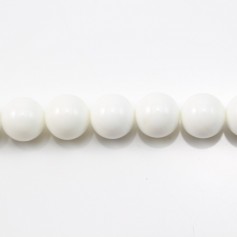 Clam Round 12mm x 40cm