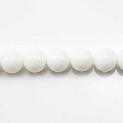 Bénitier Ronde 16mm x 40cm