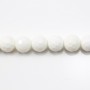Clam Faceted Round 10mm x 40cm