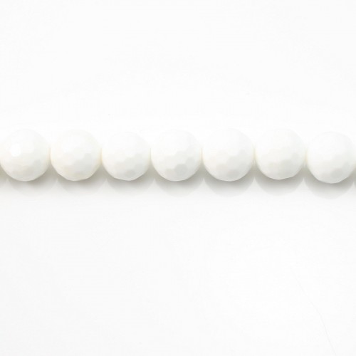 Clam Faceted Round 8mm x 40cm