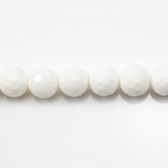 Clam Faceted Round 16m x 40cm