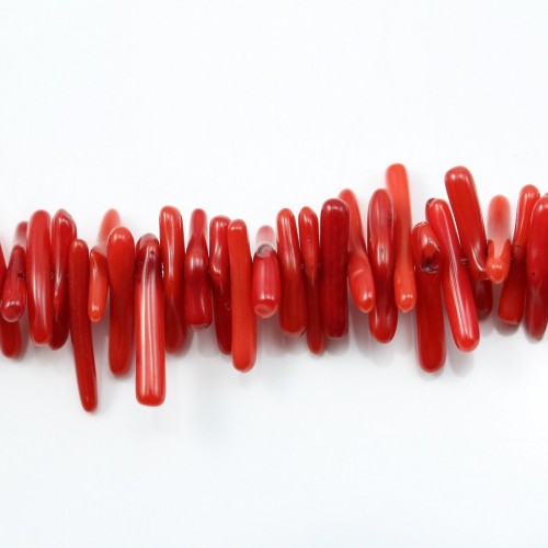 Bambou mer teinte rouge Baroque 20mm x 40cm