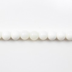 Clam Round 4mm x 40cm