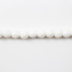 Clam Faceted Round 4mm x 40cm