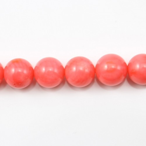 Bambou mer teinté orange Rond  8mm x 40cm 