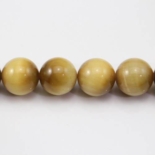 Oeil de Tigre Jaune Or  Ronde 12mm x 40cm