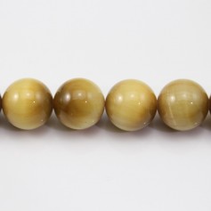 Golden Eye tiger round 12mm x 40cm