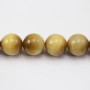 Golden Eye tiger round 12mm x 40cm