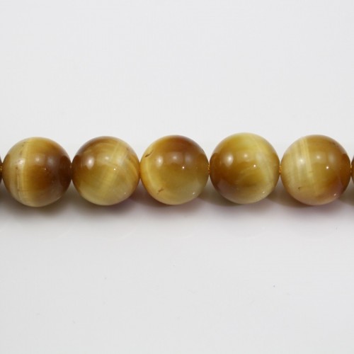 Golden Eye tiger round 8mm x 40cm