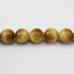Oeil de Tigre Jaune Or  Ronde 8mm x 39m