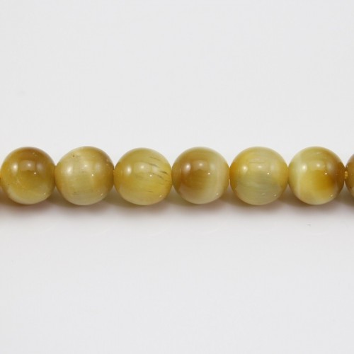 Oeil de Tigre Jaune Or  Ronde 6mm x 40cm