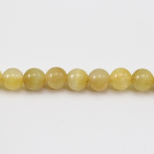 Oeil de Tigre Jaune Or  Ronde 4.5mm x 40cm