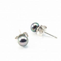 Earring silver925  freshwater pearl  4mm x 2pcs