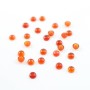 Cabochon cornaline ronde 4mm x 4pcs