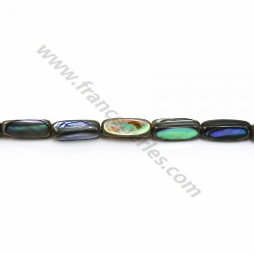 Perlmutt abalone Röhre 4x13mm x 40cm