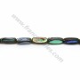  Tube abalone shell  4x13mm x 40cm