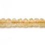 Citrine Rondelle Facette 5x8mm x 40cm
