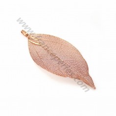 Véritable feuille d'arbre naturelle