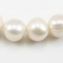 Adrienne Bracelet Freshwater White Pearl 