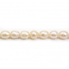 Perle de culture d'eau douce saumon, irrégulière, 9.5-10mm x 38cm