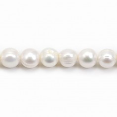 White oval freshwater pearl 12-14mm x 40cm