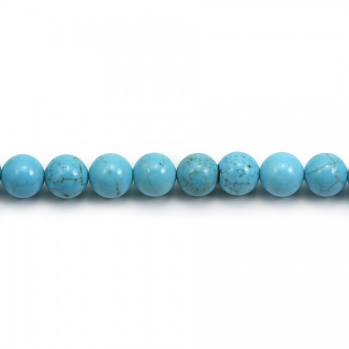 Turquoise Reconstitué Round 8mm x 5 pcs