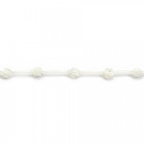 Nacre blanche en forme de fleurs sur fil 6mm x 40cm (15pcs)