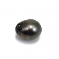 Perle de culture de Tahiti de forme semi-ronde 13-14mm x 1pc