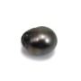 Perle de culture de Tahiti de forme half-ronde 13-14mm x 1pc