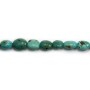 Turquoise ovale 8-15x10-23mm x 40cm