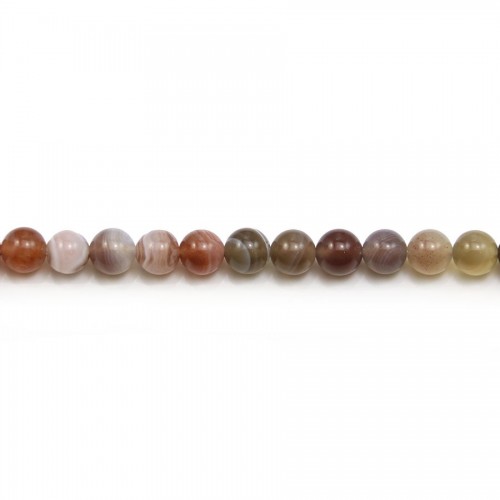 Agate botswana ronde 6mm x 40cm