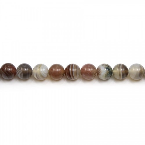 Agate botswana ronde 8mm x 40cm