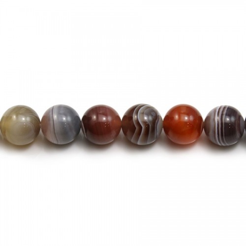 Agate botswana ronde 12mm x 40cm