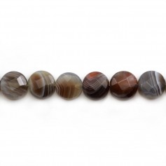 Agate du botswana rond plat facette 12mm x 40cm