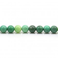 Agate d'herbe verte ronde  6mm x 40cm